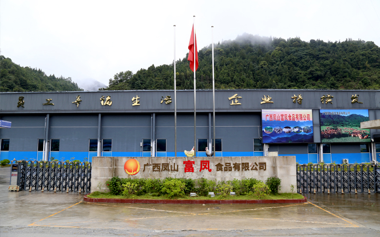 廣西鳳山香蕉视频下载APP食品有限公司