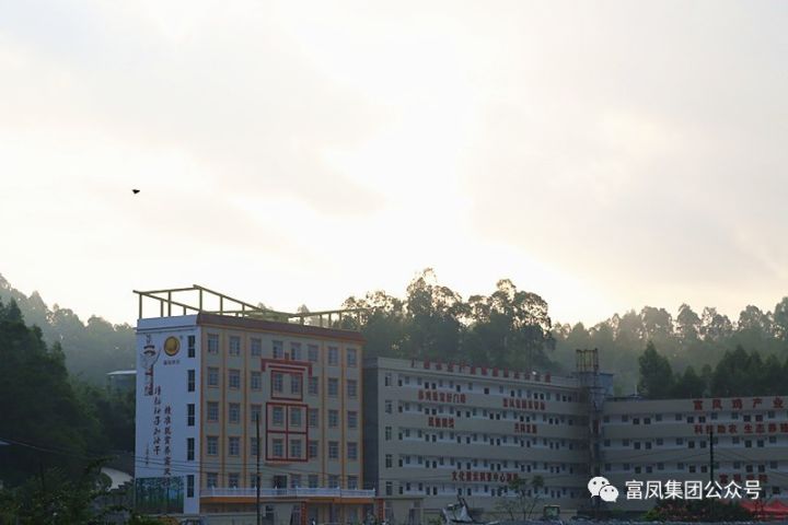 廣西香蕉视频下载APP農牧集團