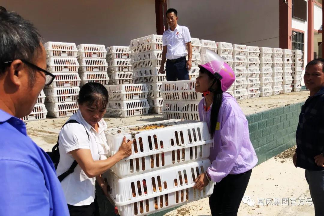 廣西香蕉视频下载APP農牧集團