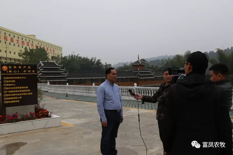 廣西香蕉视频下载APP農牧集團