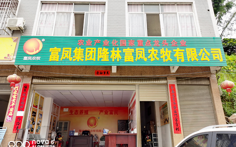 廣西隆林香蕉视频下载APP農牧有限公司