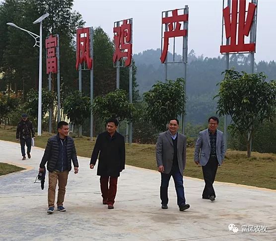 廣西香蕉视频下载APP農牧集團